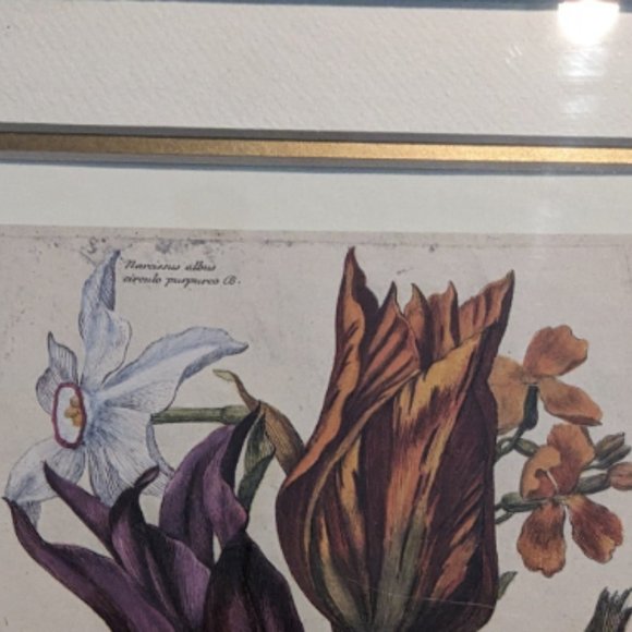 6"x9" 17th Century Nicolas Robert Original Print French Artist 1600s Antique - Picture 3 of 6